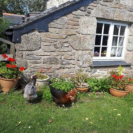 Borea Barn Vegetarian B&B St Ives Exteriér fotografie